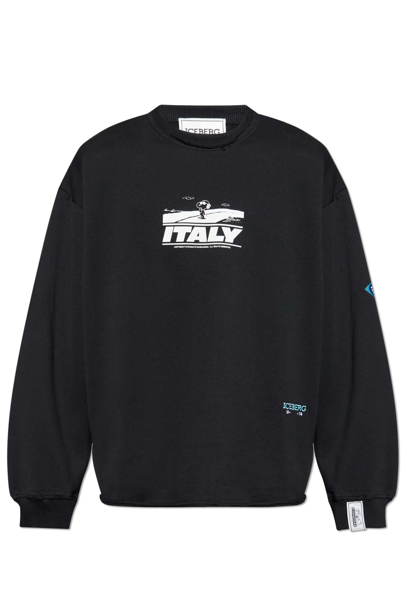Black Sweatshirt with a vintage effect Iceberg - Vitkac GB